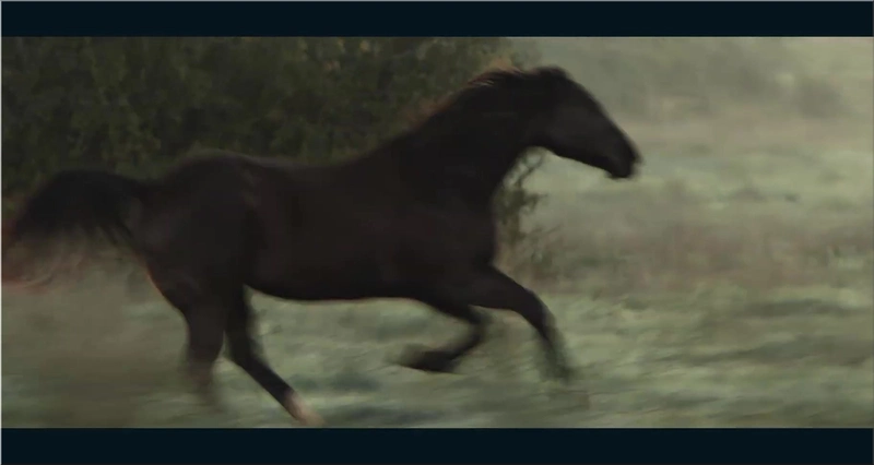 2027 Kia Telluride x Horse Herder