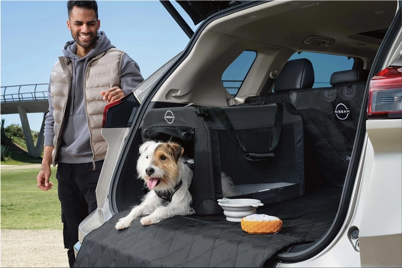 Nissan Dog Pack