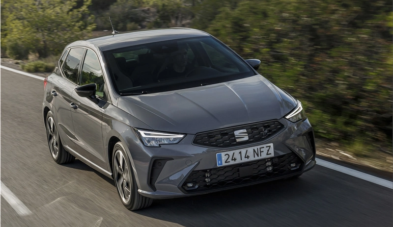 Ibiza Seat Neunull