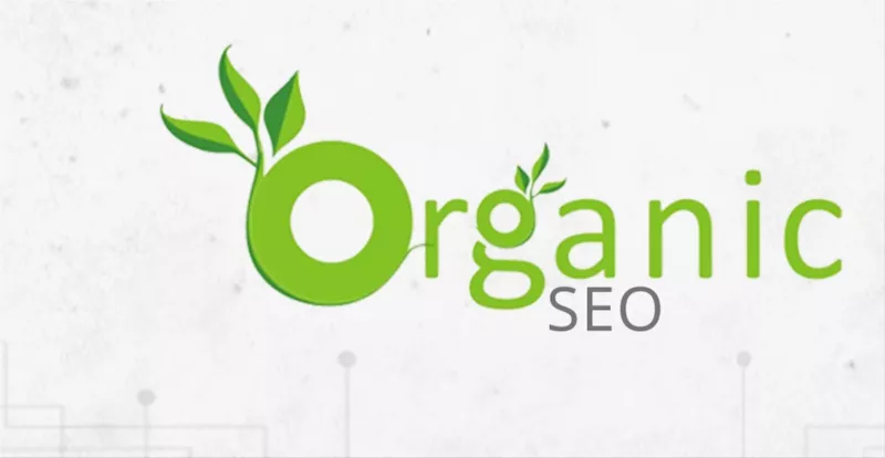 Organic SEO