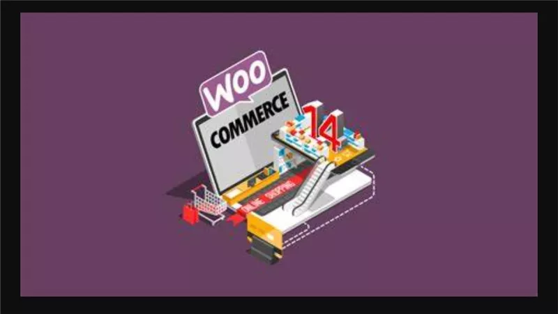 WooCommerce plugin