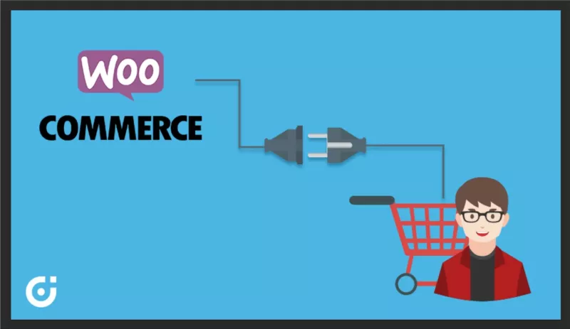 WooCommerce plugin