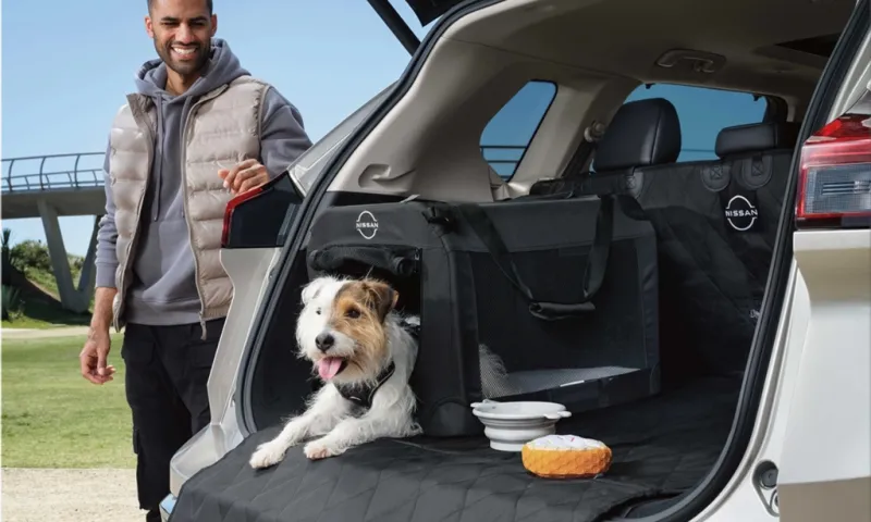 Nissan Dog Pack