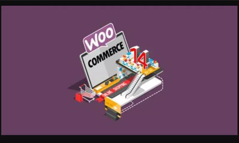 WooCommerce plugin