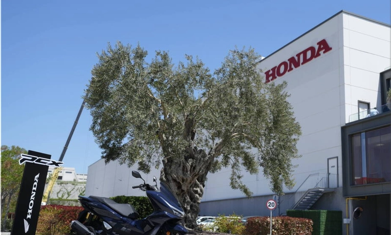 Honda PCX125 Turkey