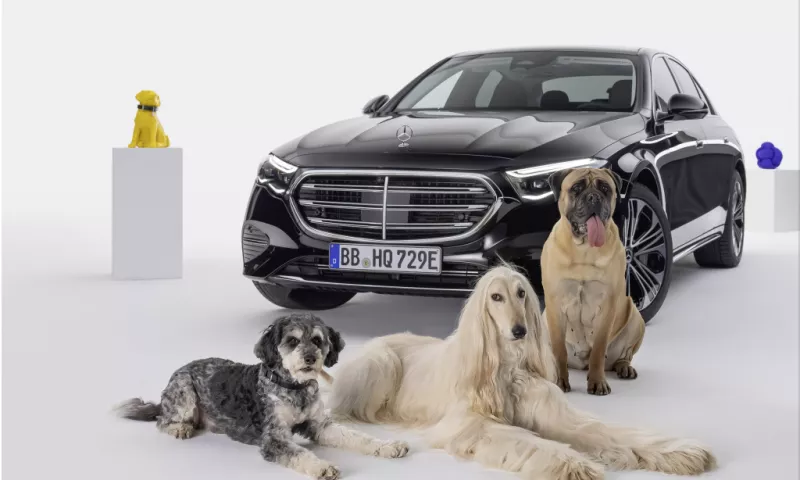 Mercedes-Benz Unveils MBUX Bark Assist: A Canine Co-Pilot's Dream Come True