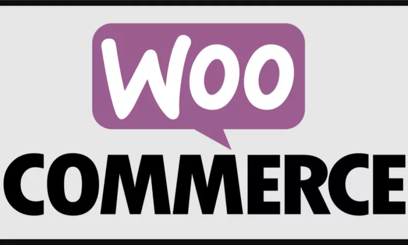Let's talk about WordPress most popular plugin: WooCommerce