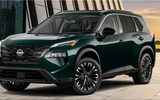 Nissan Rogue Dark Armor