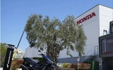 Honda PCX125 Turkey