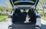 Everything You Need for a Pet-Friendly Road Trip: Nissan Dog Pack
