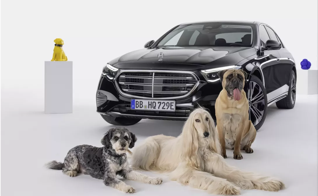 Mercedes-Benz Unveils MBUX Bark Assist: A Canine Co-Pilot's Dream Come True