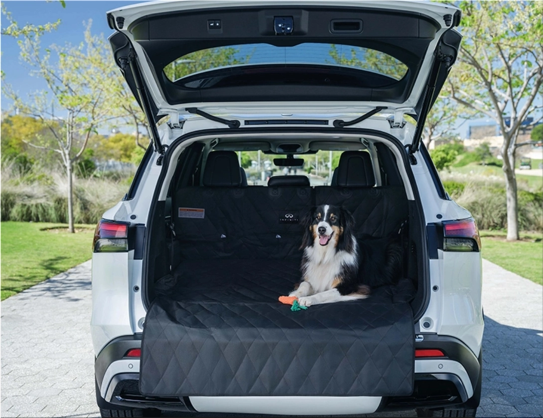 Everything You Need for a Pet-Friendly Road Trip: Nissan Dog Pack