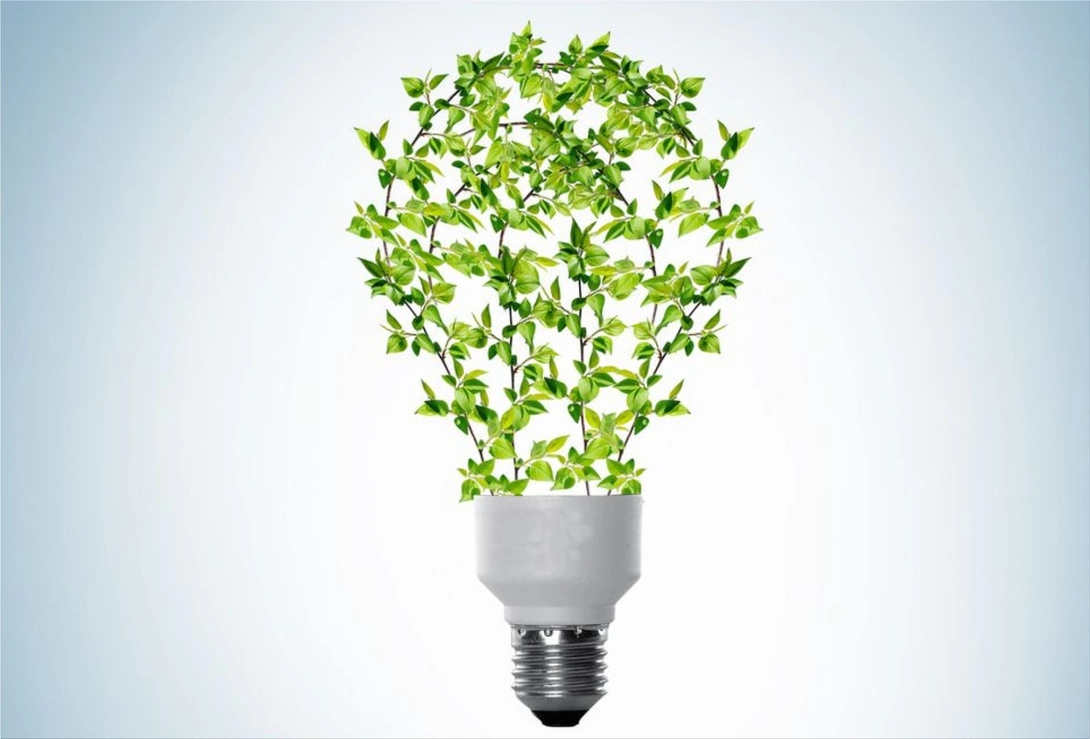 The benefits of green electricity are numerous